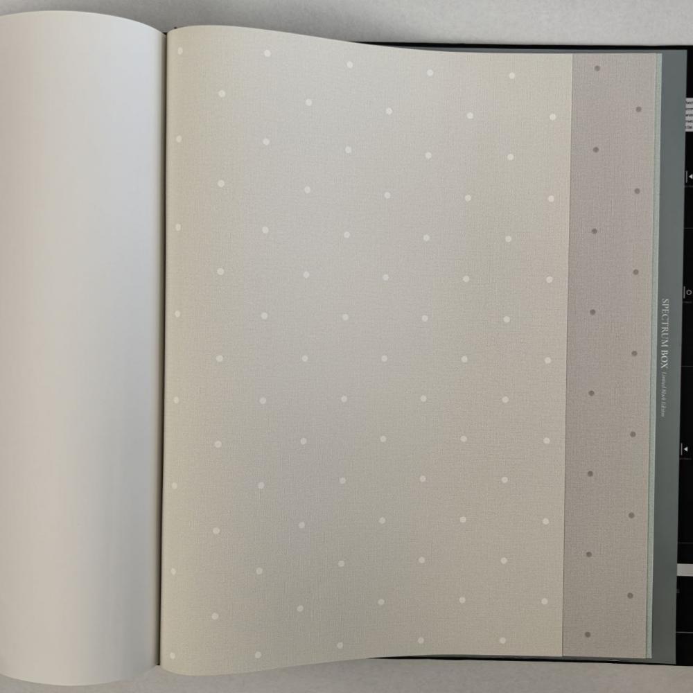 Andrea Rossi Spectrum Box 54454-2